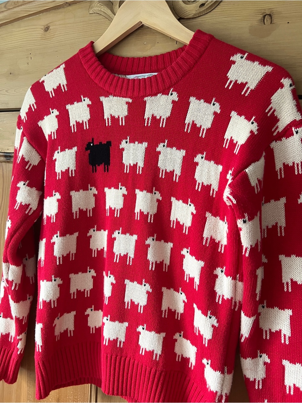 Warm & Wonderful Black Sheep Sweater - Picture 6 of 12